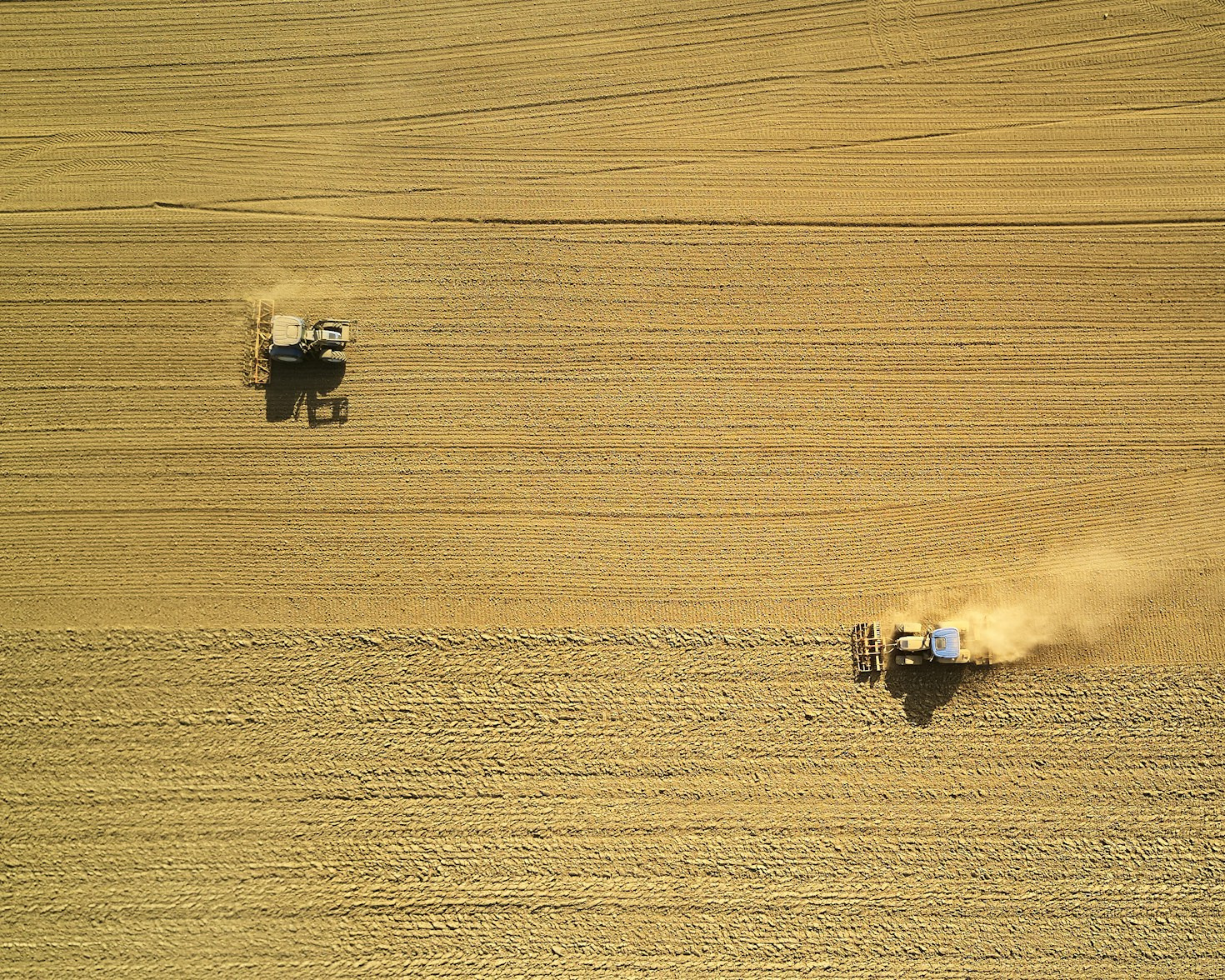 Eco-Friendly Farming Practices for Beginners